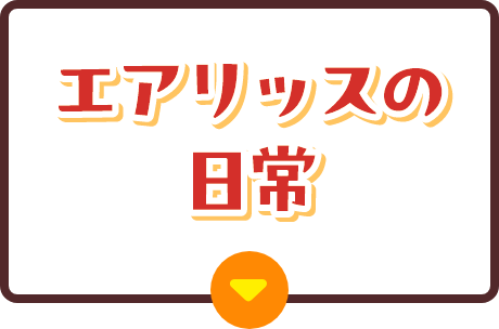 エアリッスの日常