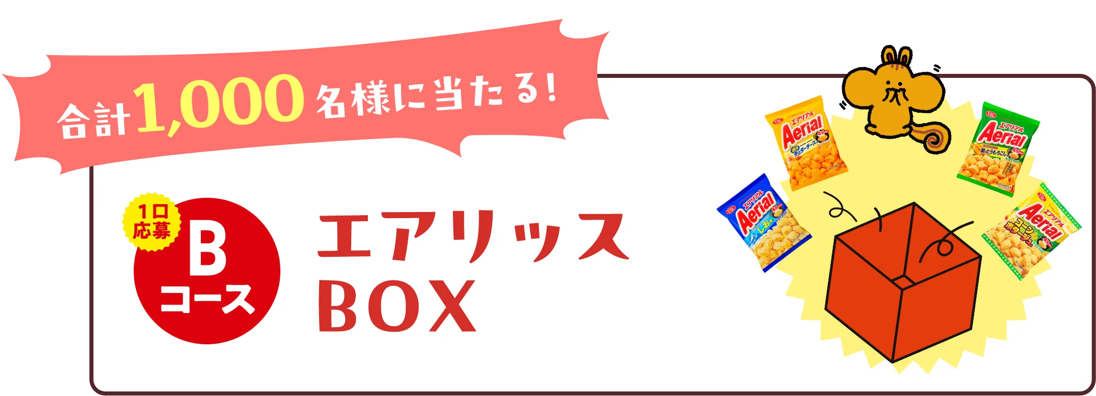 合計1000名様に当たる！1口応募Bコース　エアリッスBOX